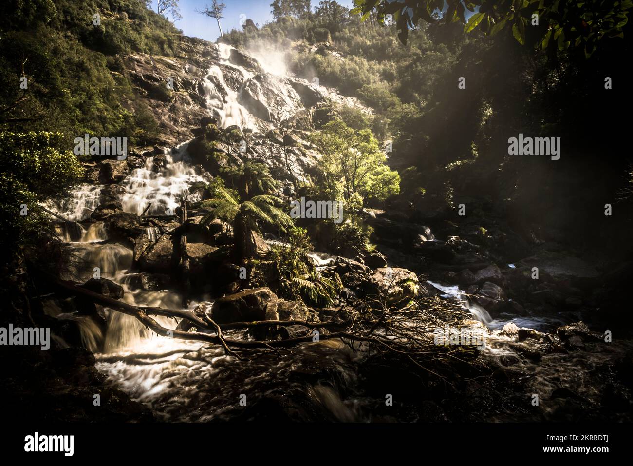 Bel paesaggio artistico su una cascata rocciosa abisso in remote foreste pluviali. Cascate di St Columba, Tasmania nord-orientale, Australia Foto Stock