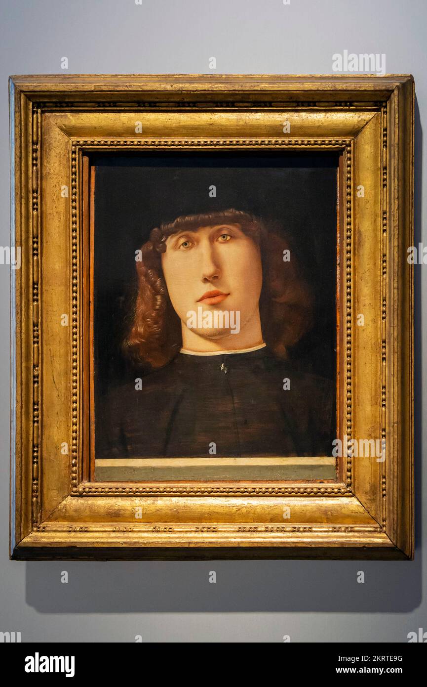 accademia carrara galleria d'arte: ragazzo giovane, lorenzo lotto, 1500, bergamo, italia Foto Stock