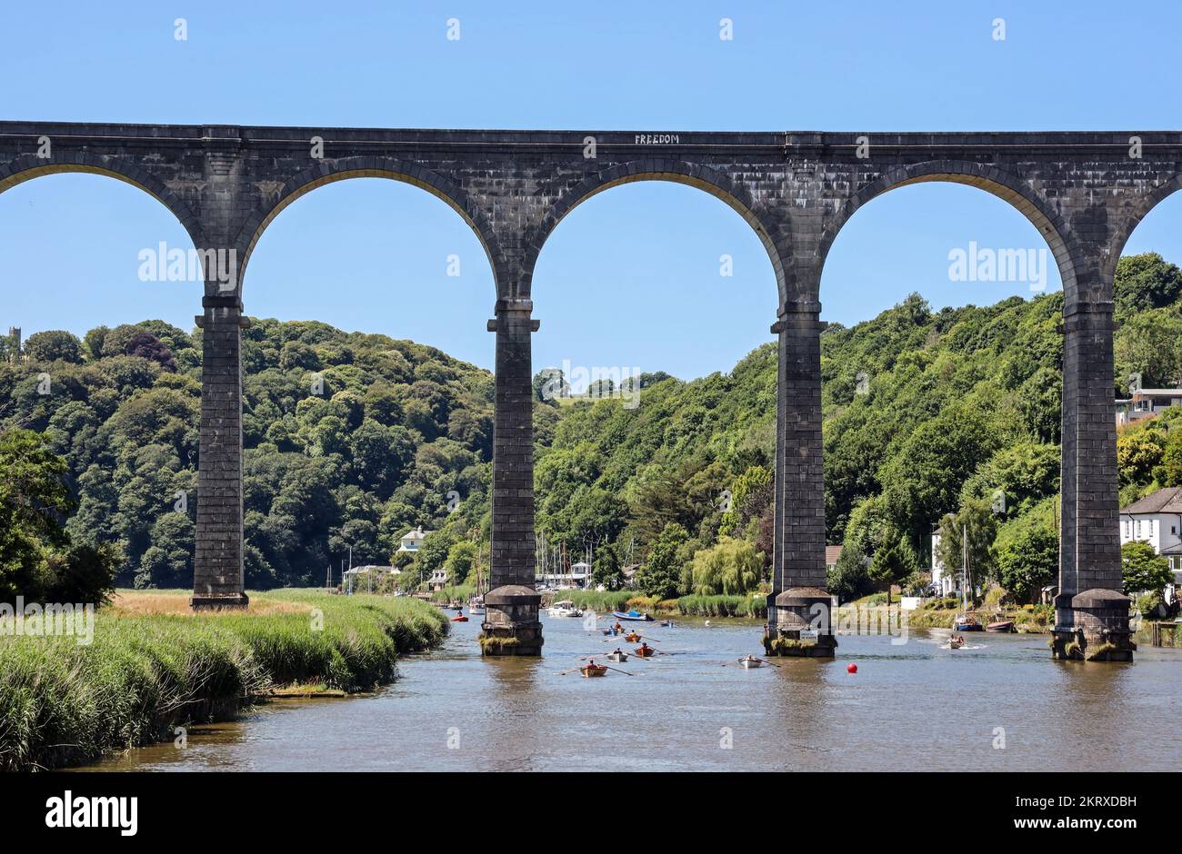 Il viadotto della Tamar Valley Railway a Calstock attraversando il fiume Tamar. Piccole barche a remi sotto gli archi impressionanti lo combattono all'esterno al reg annuale Foto Stock