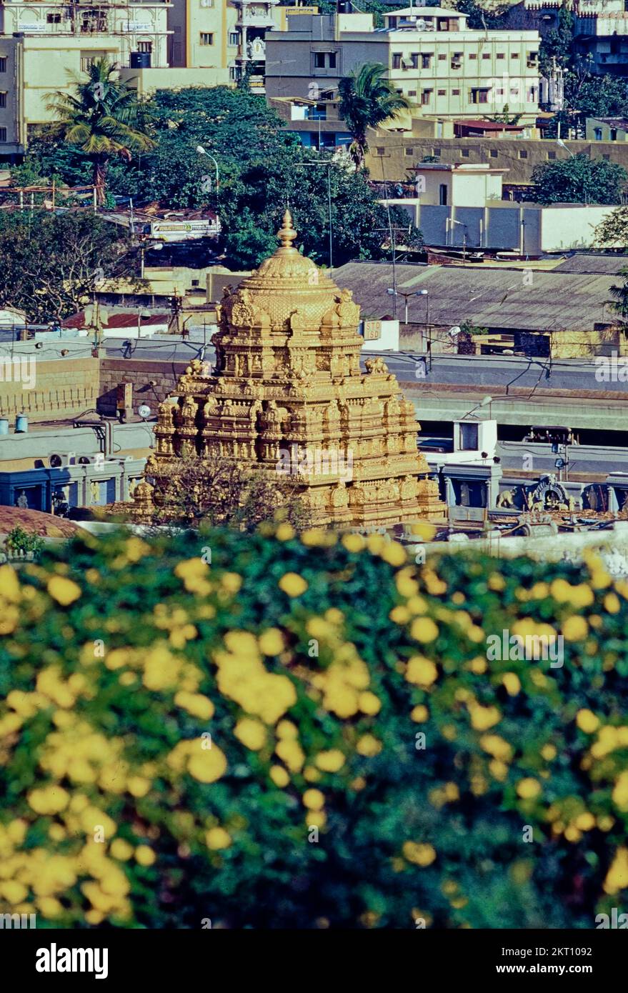 11 23 2022 gopuram dorato, Sanctum Sanctorum, Tempio di Sri Venkateswara Swamy Vaari, Tirumala, Tirupati, Chittoor, Andhra Pradesh, India, Asia Foto Stock