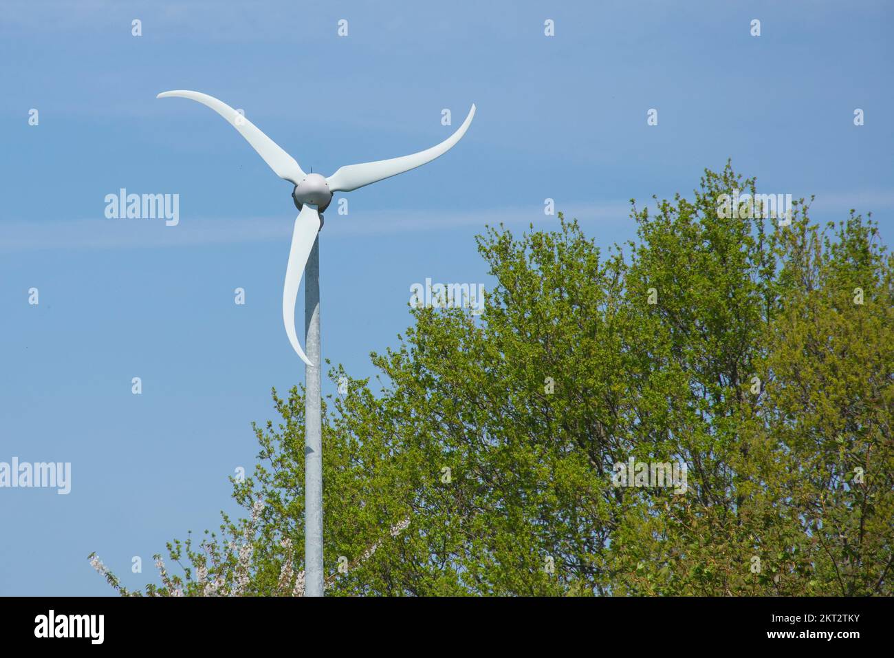 Piccola turbina eolica privata con pale curve Foto Stock