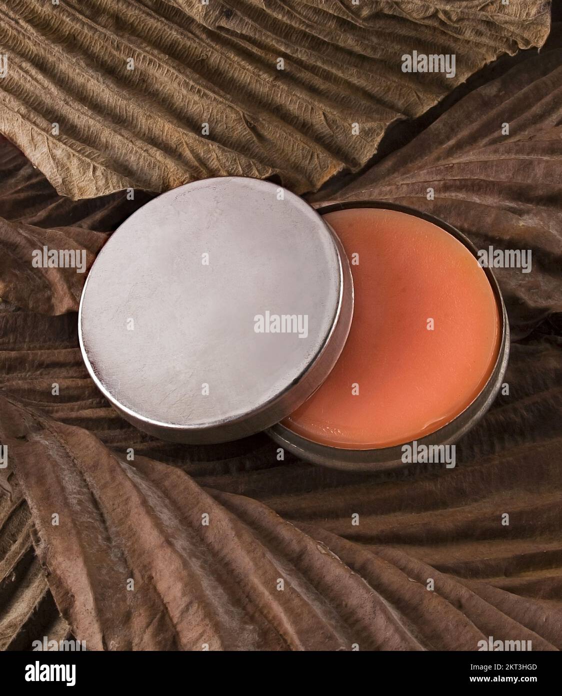 Pesce elettrico lardo è un unguento molto popolare nel nord e nord-est del Brasile ed è presumibilmente fatto da pesci elettrici da Amazzonia. Foto Stock