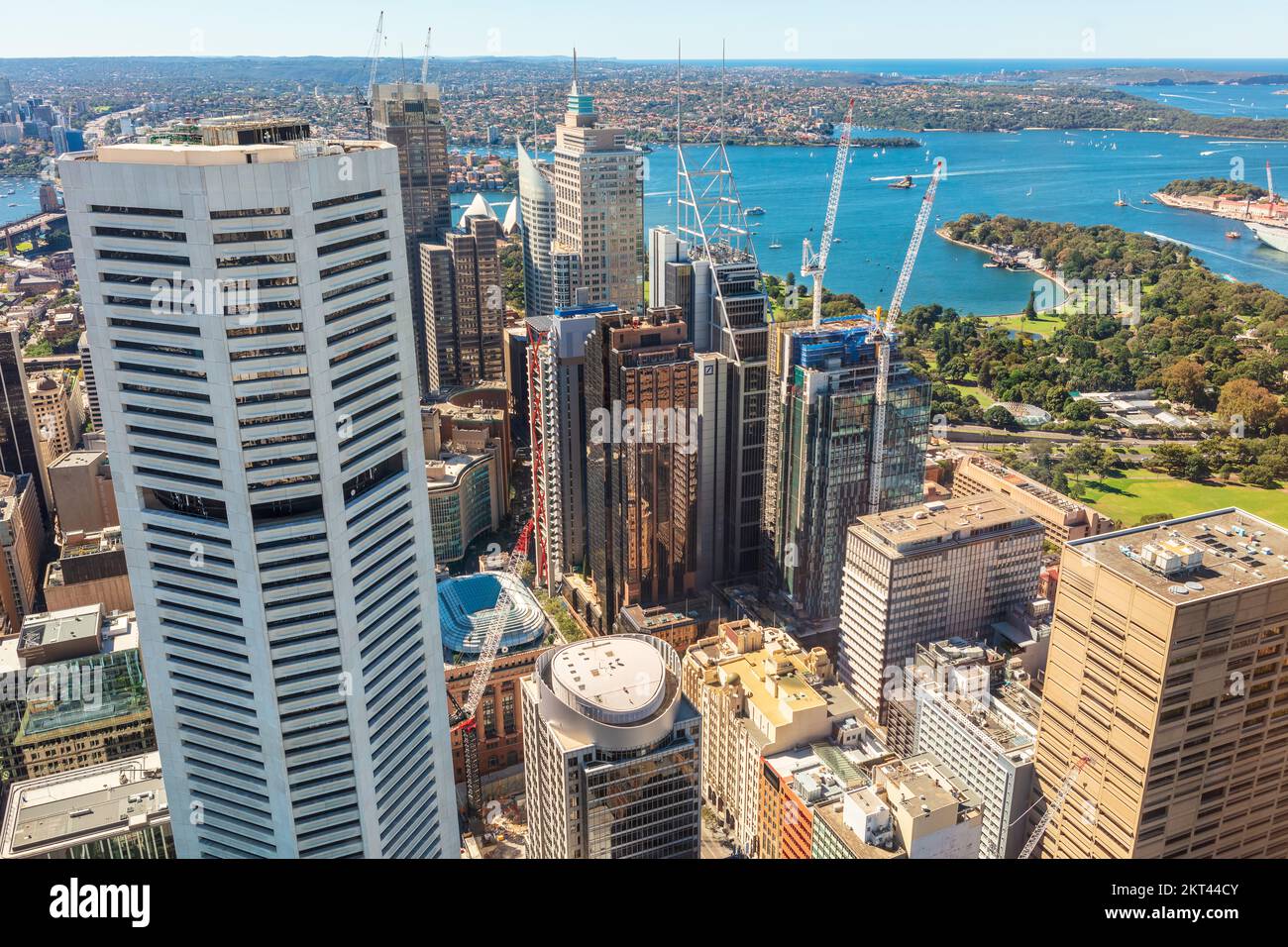 Panorama urbano del quartiere finanziario centrale di Sydney e vista dell'area dei Royal Botanic Gardens. Foto Stock