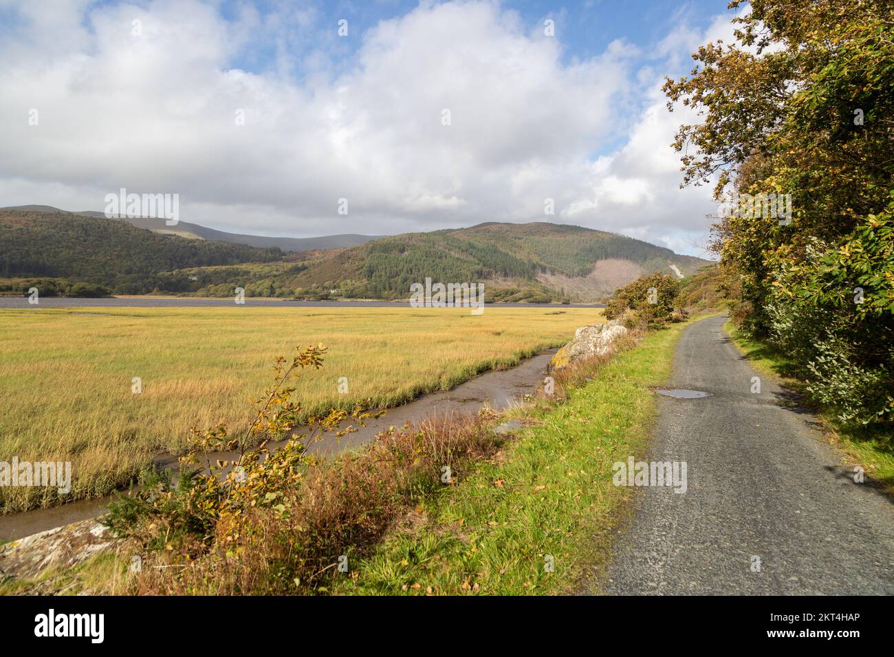 Il sentiero Mawddach Trail a piedi e pista ciclabile da Barmouth a Dolgellau Foto Stock