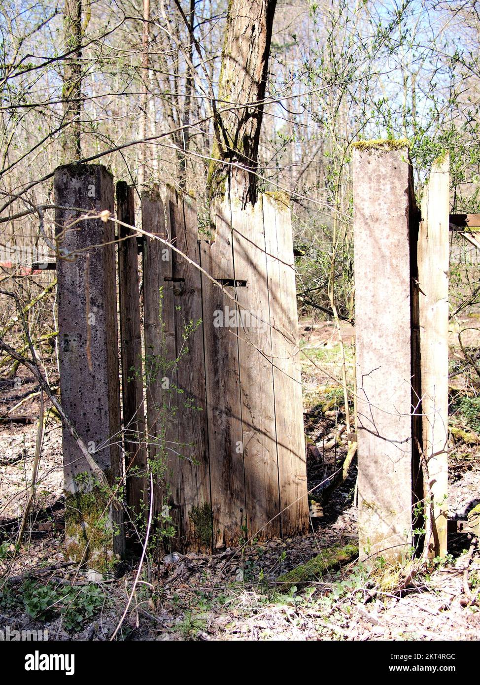 Porta in legno resistente agli agenti atmosferici con chiodi rustici in un telaio in pietra Foto Stock