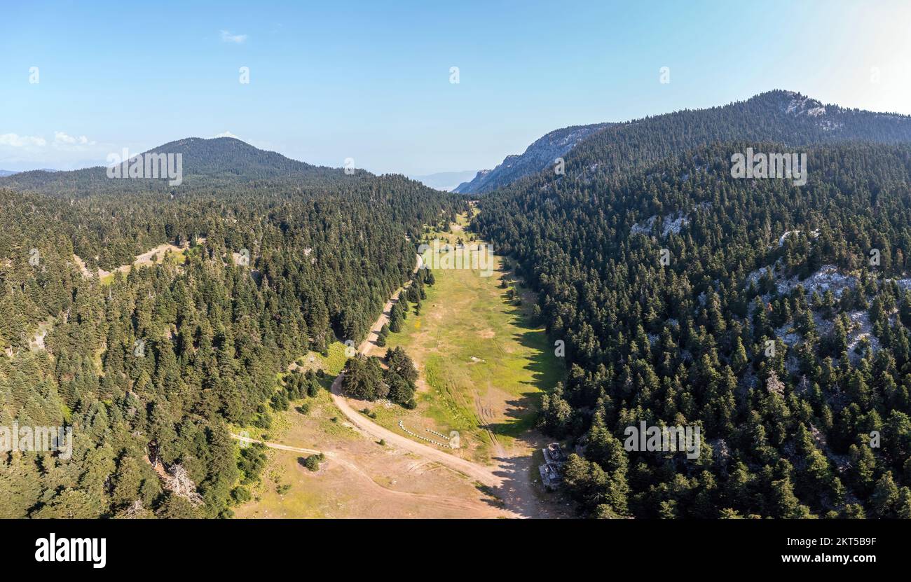 Paesaggio della foresta di abeti, montagna sfondo vista aerea drone. Zona di protezione antincendio, zona priva di alberi e strada sterrata. Foto Stock