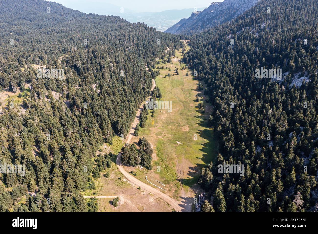 Paesaggio della foresta di abeti, montagna sfondo vista aerea drone. Zona di protezione antincendio, zona priva di alberi e strada sterrata. Foto Stock