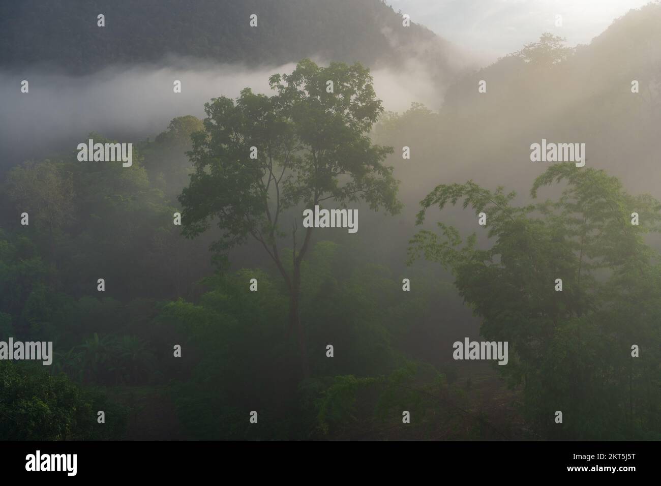 Paesaggio montano panoramico con foresta tropicale nella nebbia mattutina durante la stagione monsonica nella valle rurale, Chiang Dao, Chiang mai, Thailandia Foto Stock