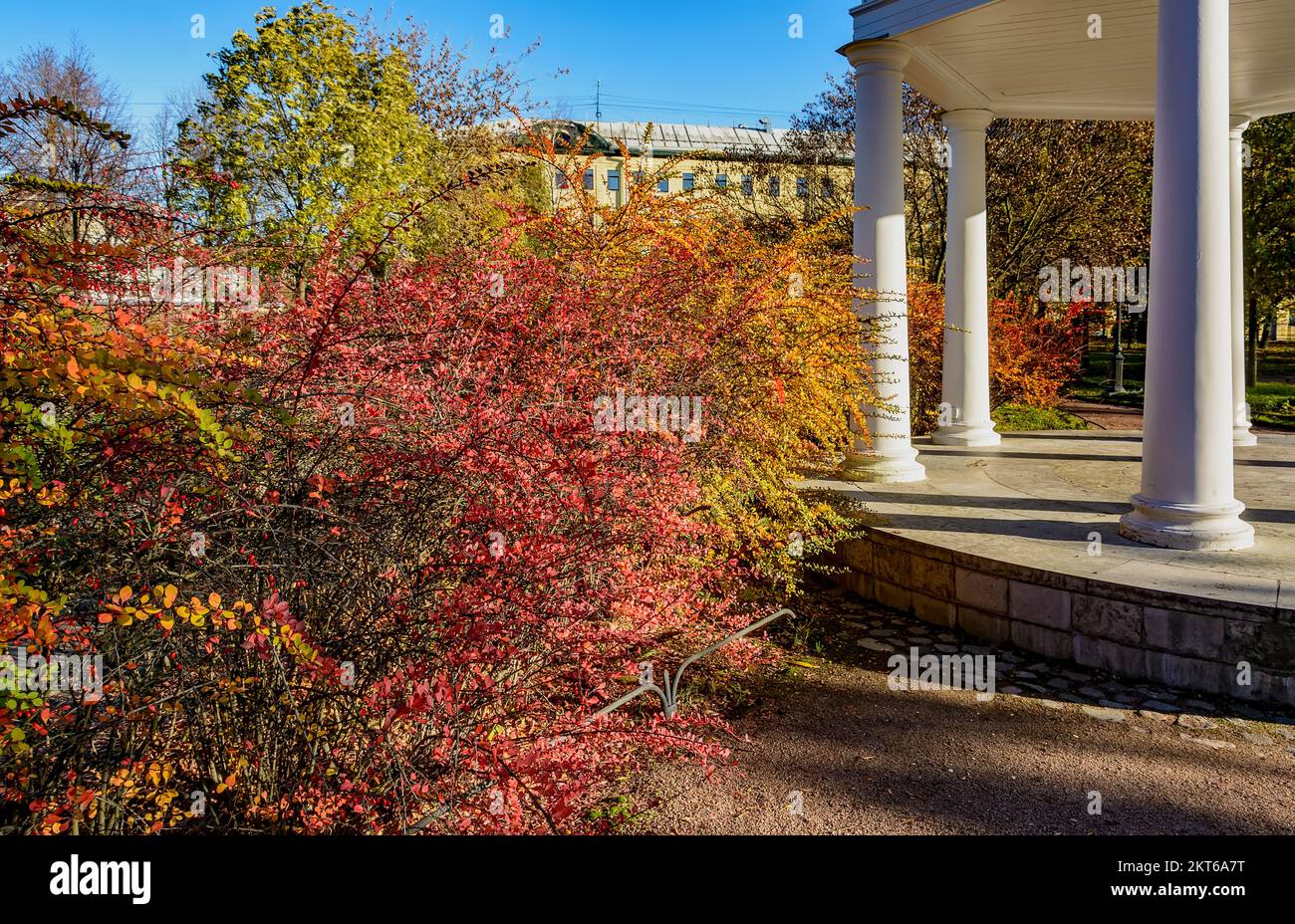 Passeggia attraverso il Giardino Polacco presso la tenuta di Derzhavin sull'argine del fiume Fontanka in St Pietroburgo. Foto Stock