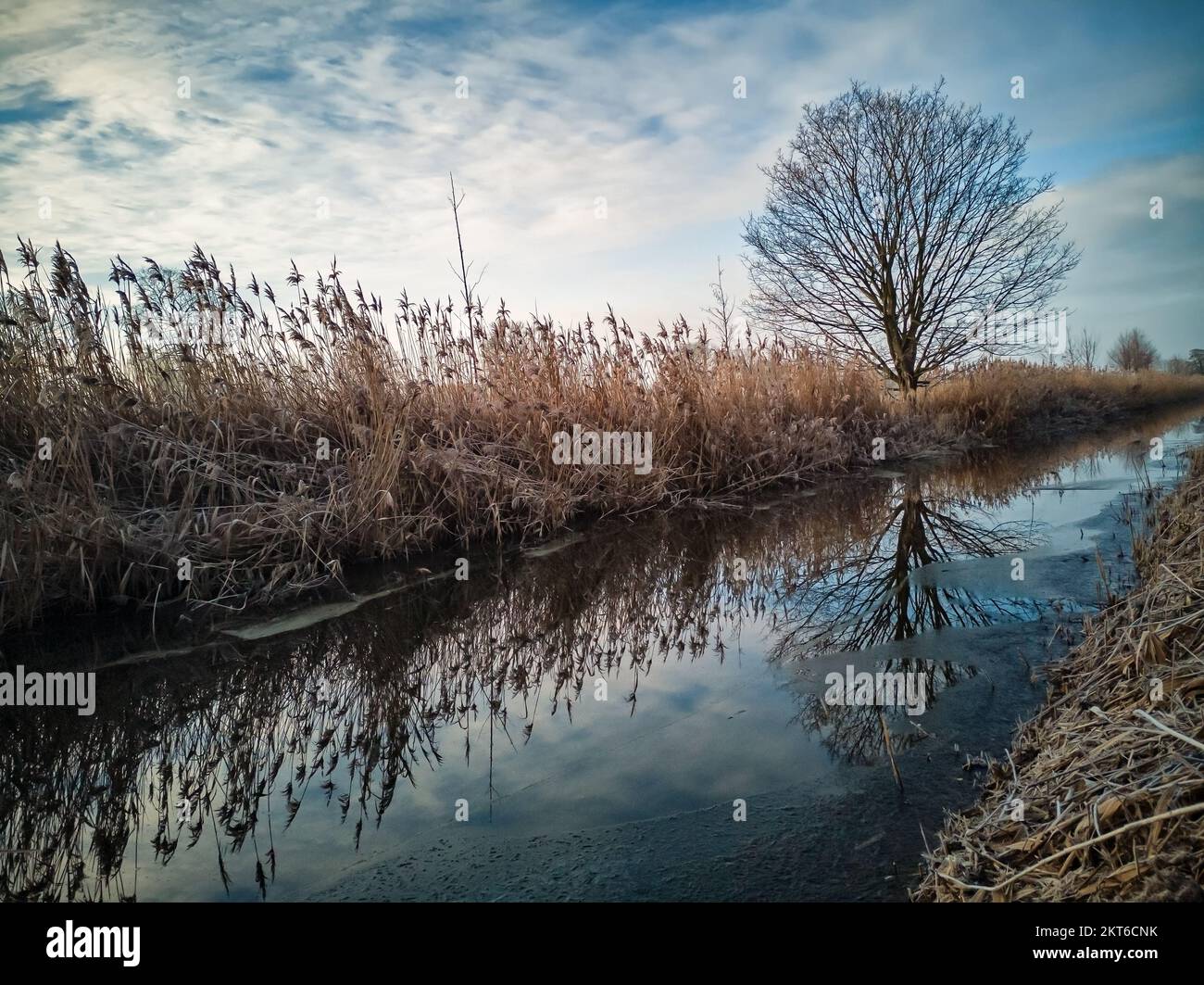 Piccolo canale nel paesaggio di Brandeburgo, Germania Foto Stock