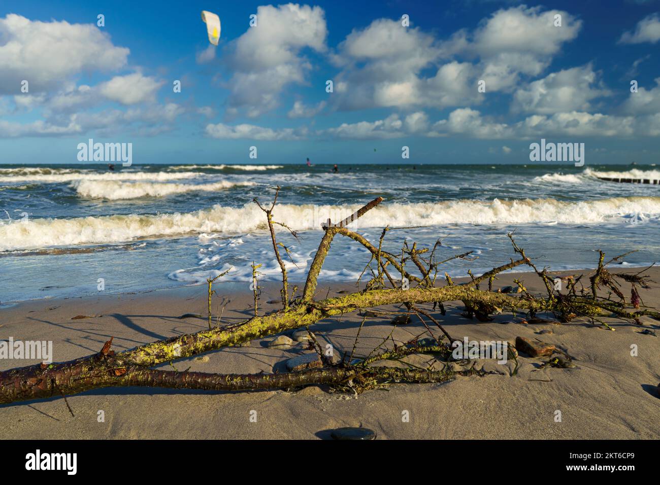 Costa del Mar Baltico vicino a Kühlungsborn, Meclemburgo-Pomerania occidentale Foto Stock