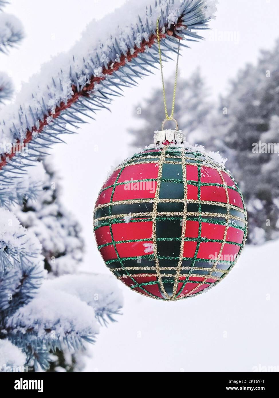 Rosso e verde a scacchi grande palla di Natale appeso su un ramo di abete rosso coperto di neve all'esterno Foto Stock