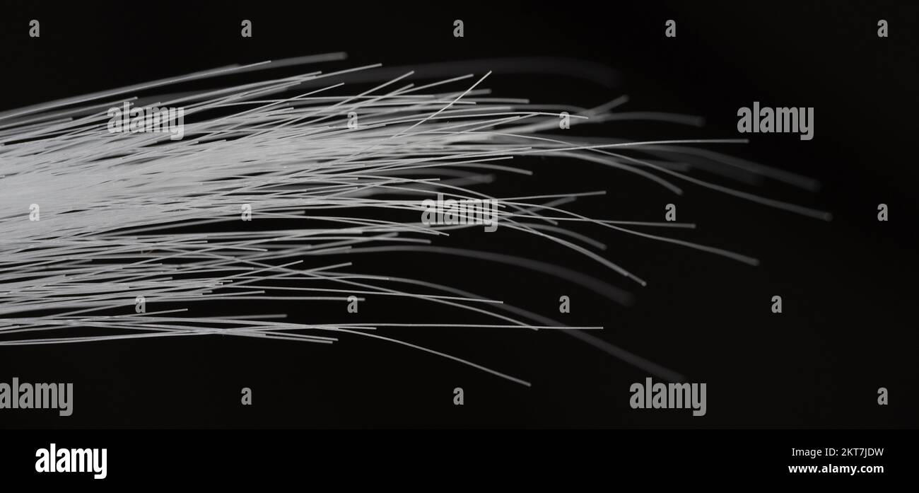 Capelli lunghi bianchi dritti isolati su sfondo nero macro vista Foto Stock