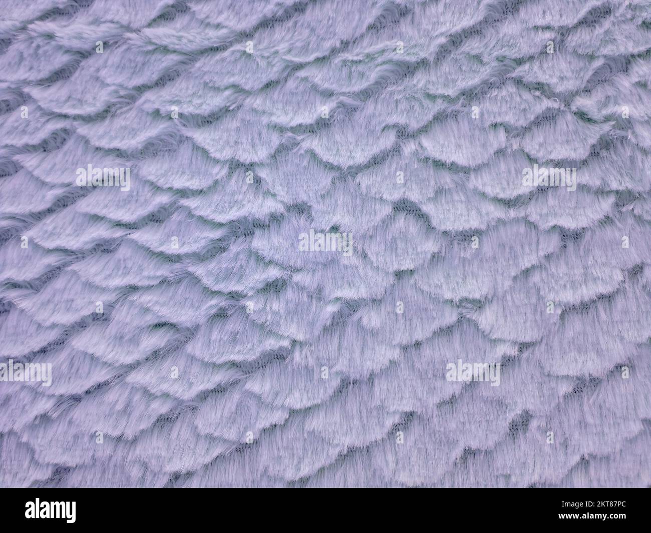 Primo piano di pelliccia sintetica viola con motivo a capesante Foto Stock