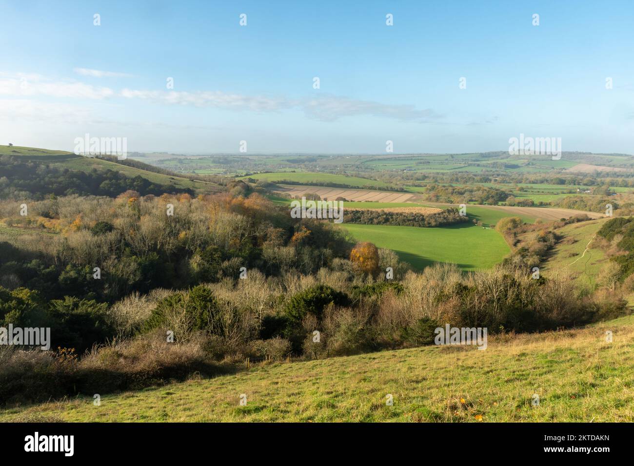 Old Winchester Hill nel mese di novembre, vista panoramica autunnale della SSSI nel South Downs National Park, Hampshire, Inghilterra, Regno Unito Foto Stock