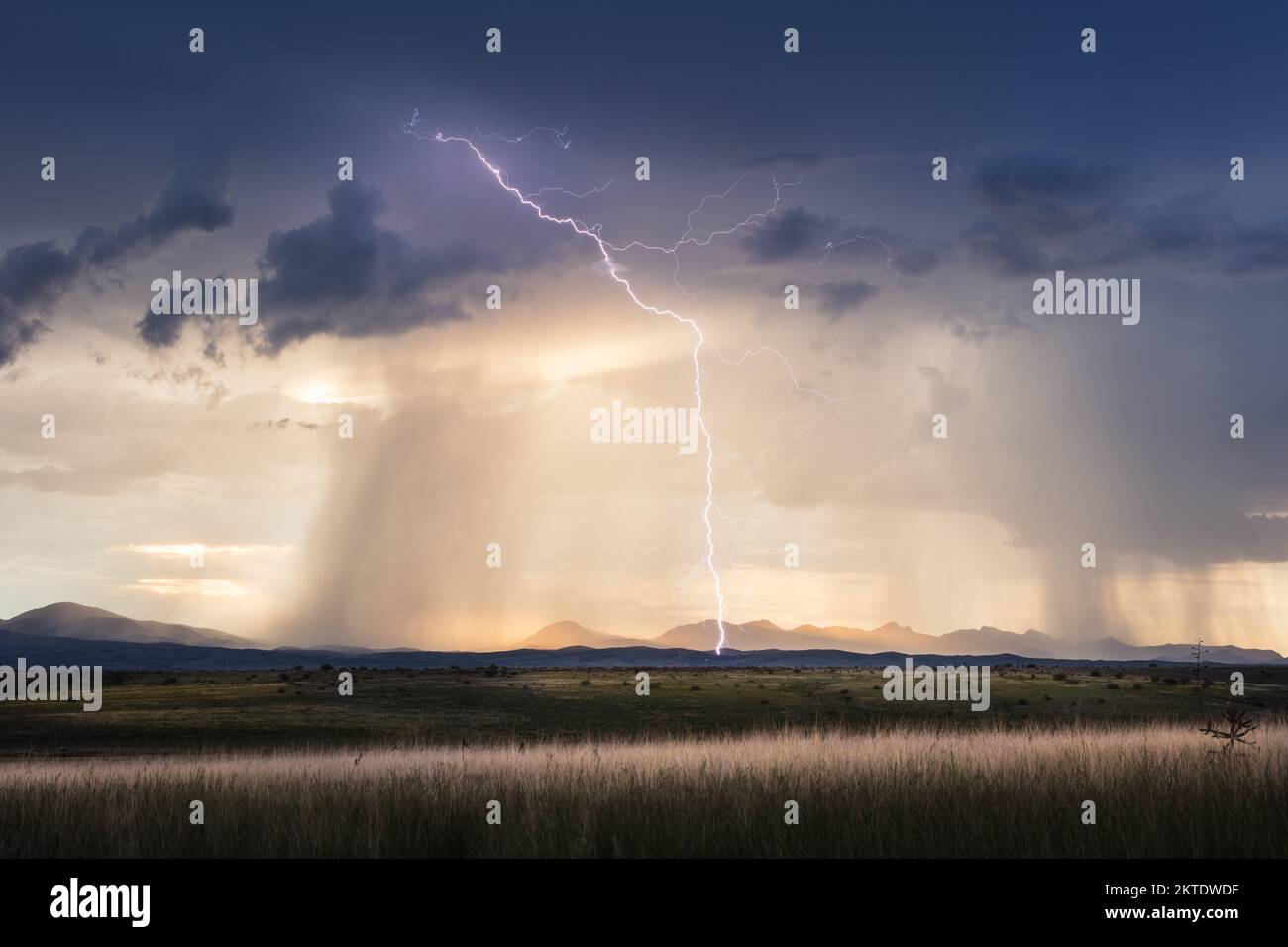 Cielo tempestoso con fulmini, nuvole drammatiche e luce solare dorata su un campo vicino a Sonoita, Arizona Foto Stock