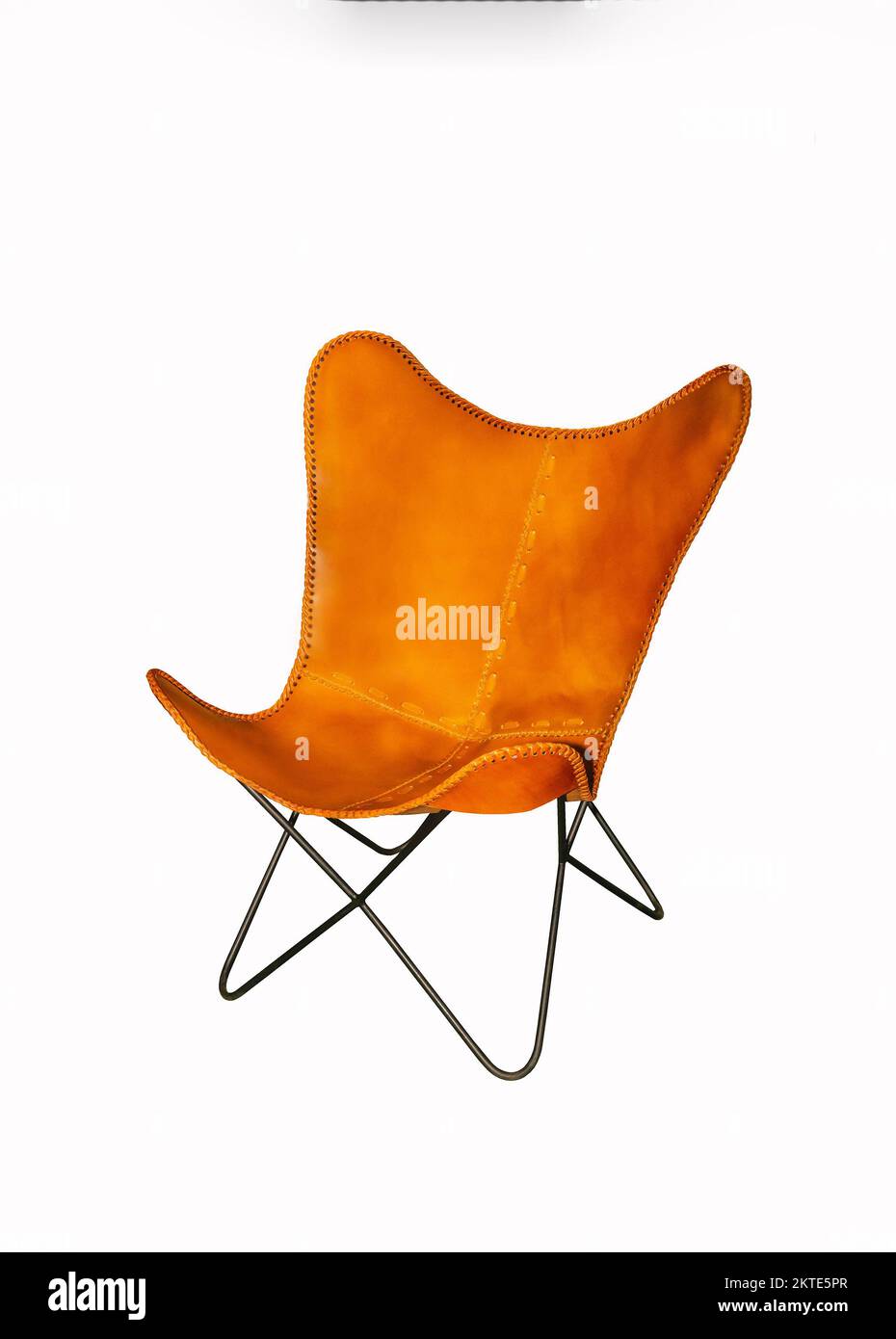 Sedia da giardino in pelle su sfondo bianco. Elemento interno Foto Stock