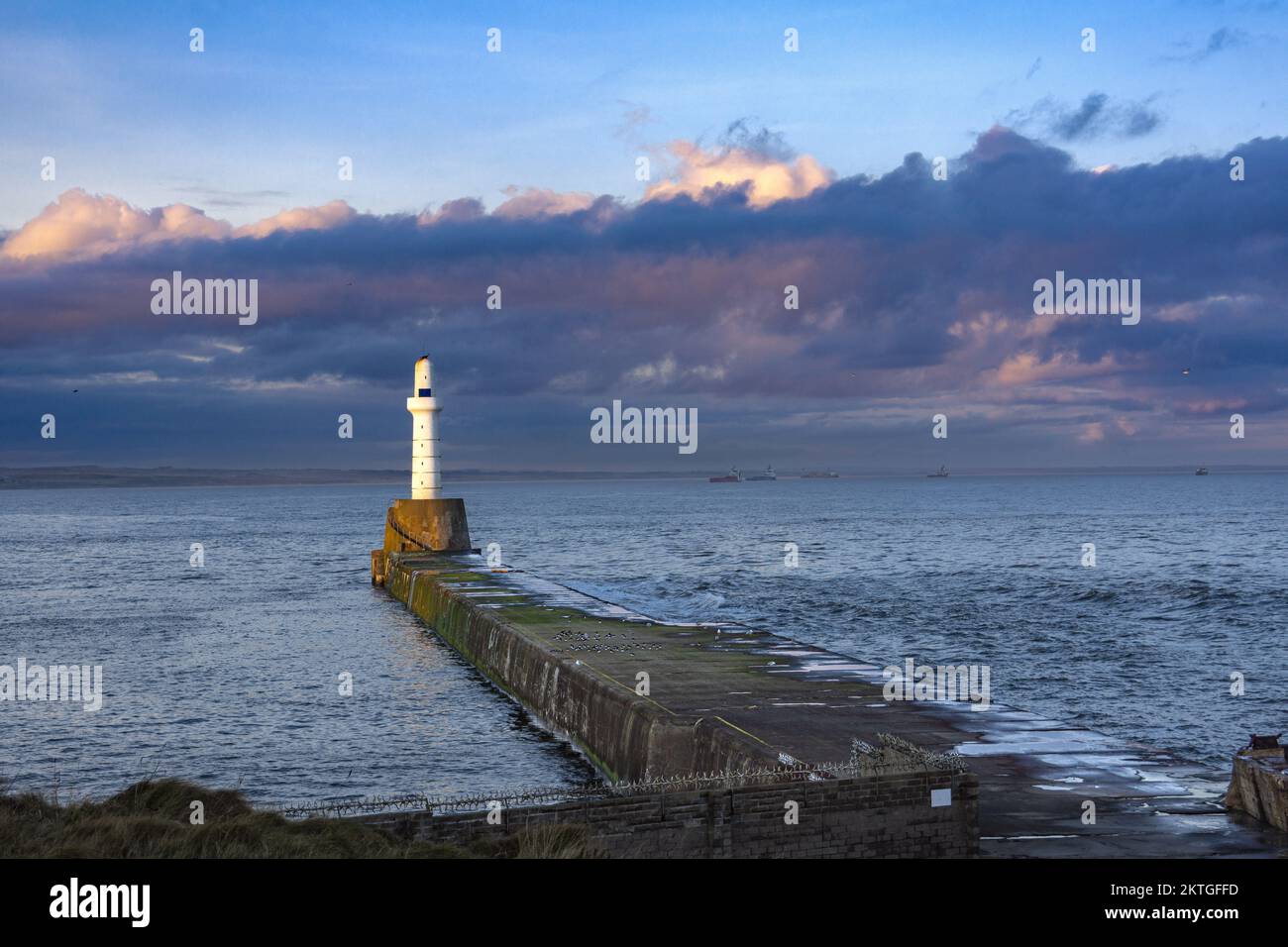 Porto di Aberdeen, Scozia. Un porto trafficato per l'industria petrolifera. La torre VTS ha vinto un prezzo di architetto quando era nuova. Foto Stock