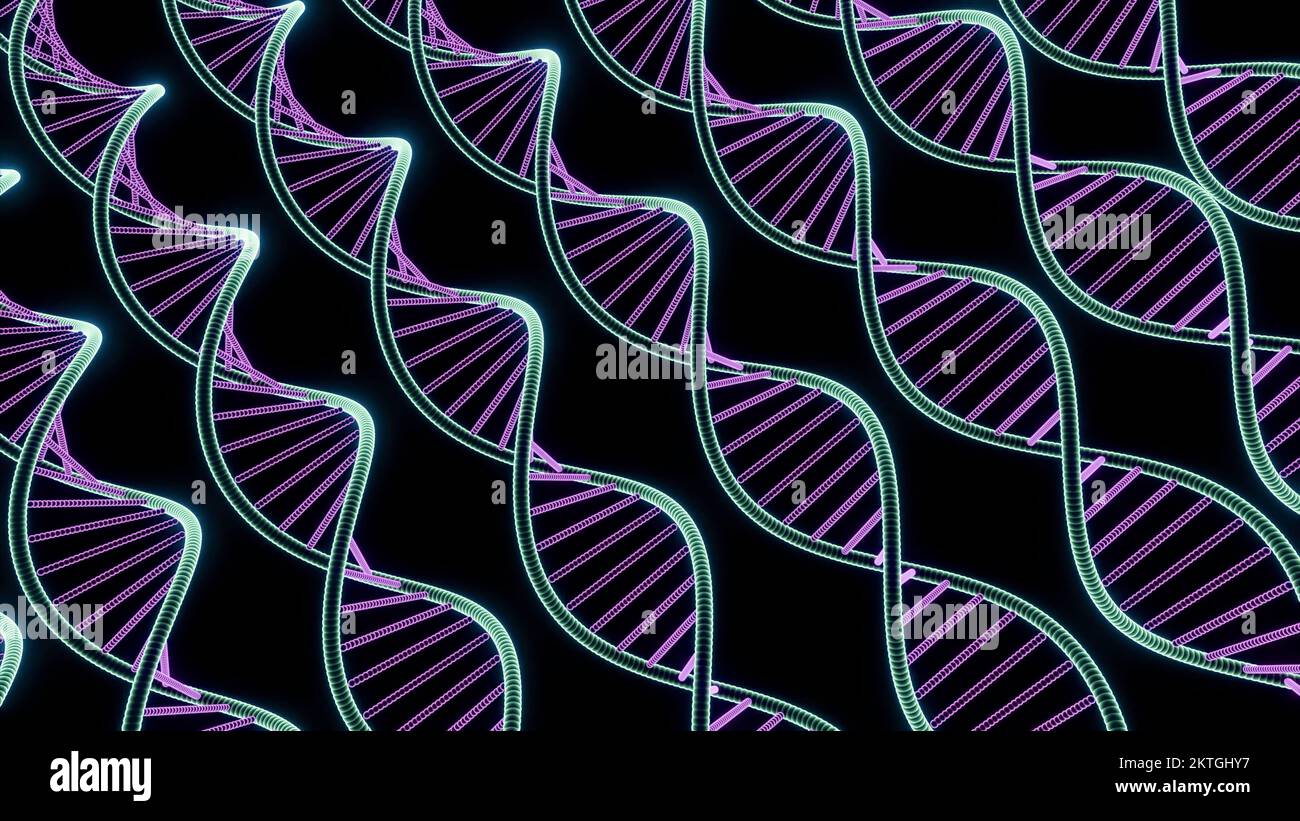 Sfondo nero. Design. Codici genetici sinuosi colorati iridescenti in animazione. Riprese in 4K di alta qualità Foto Stock