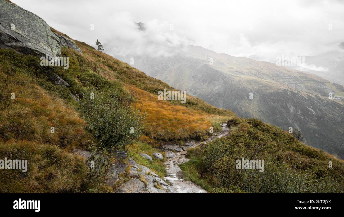 Un sentiero bagnato dalla pioggia conduce lungo il pendio. Settembre, estate indiana, erba gialla nelle Alpi austriache. Austria, Salisburgo, Valle di Gastein. Alta qualità Foto Stock