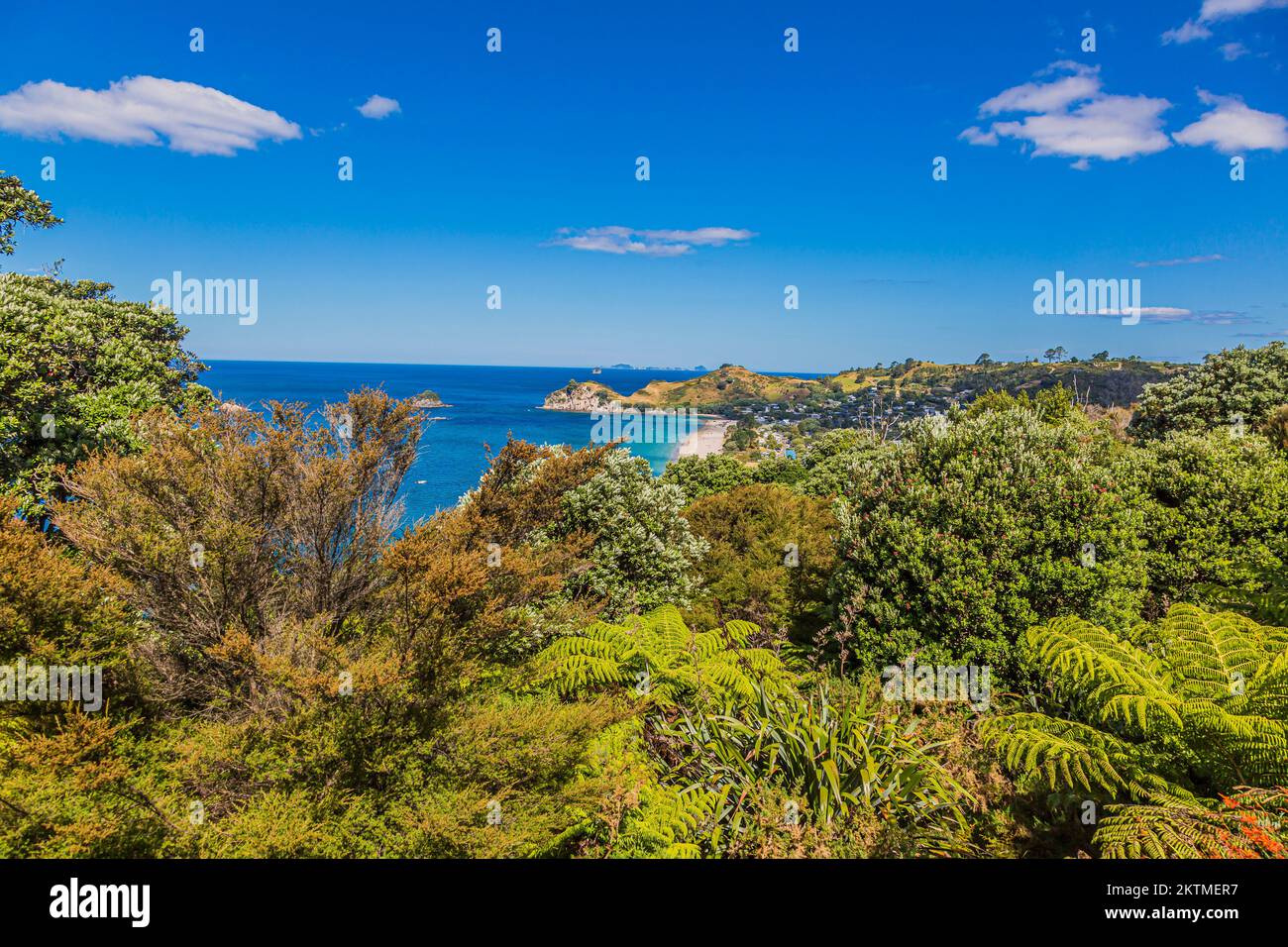 Vista sulla spiaggia di Hahei sull'isola settentrionale della Nuova Zelanda Foto Stock