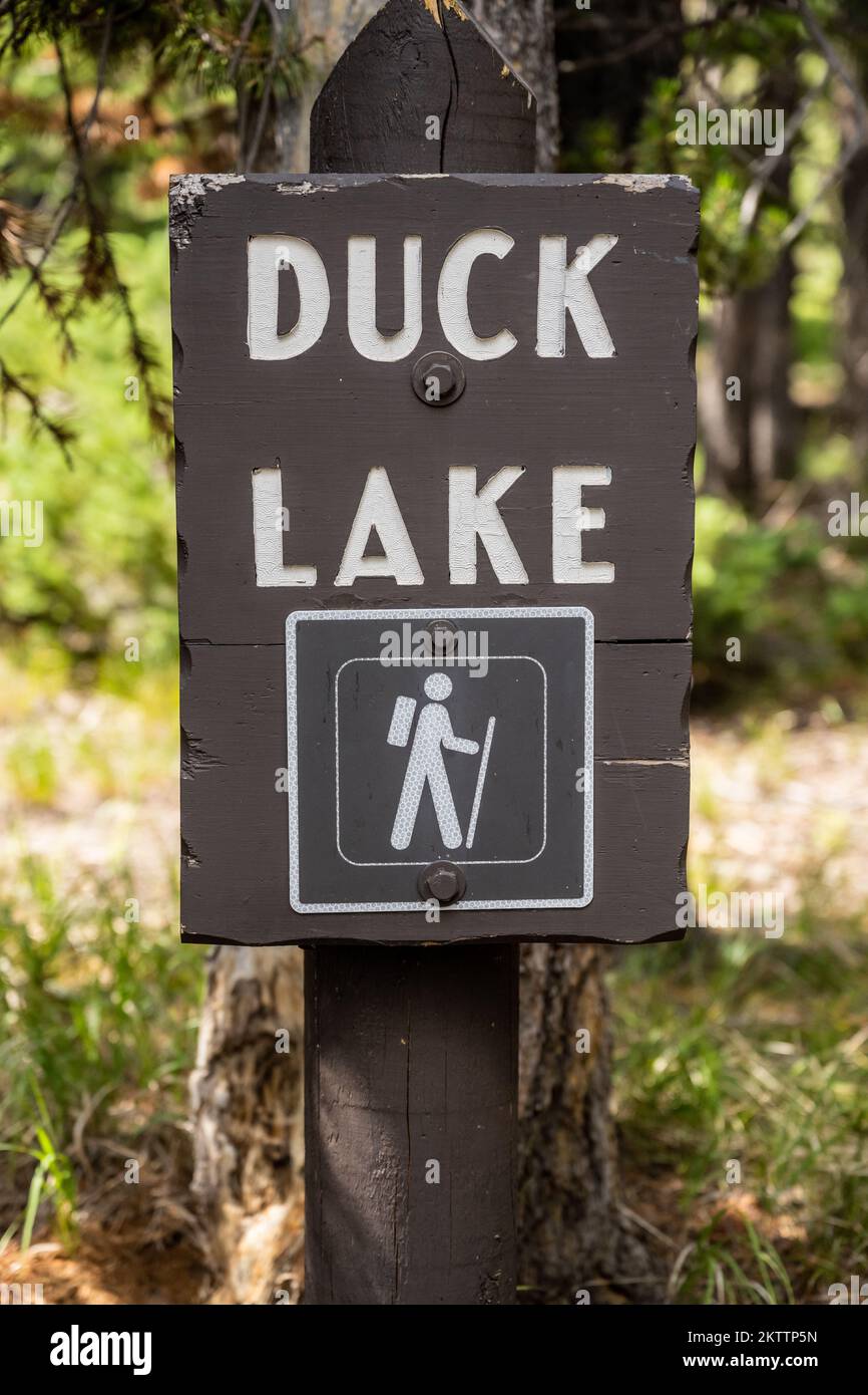 Indicazioni per Duke Lake nel parco nazionale di Yellowstone Foto Stock