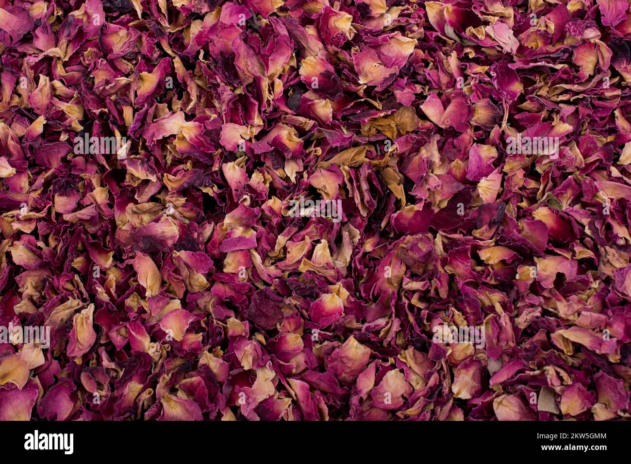 Sfondo di petali di rosa essiccati come tè alle erbe Foto Stock