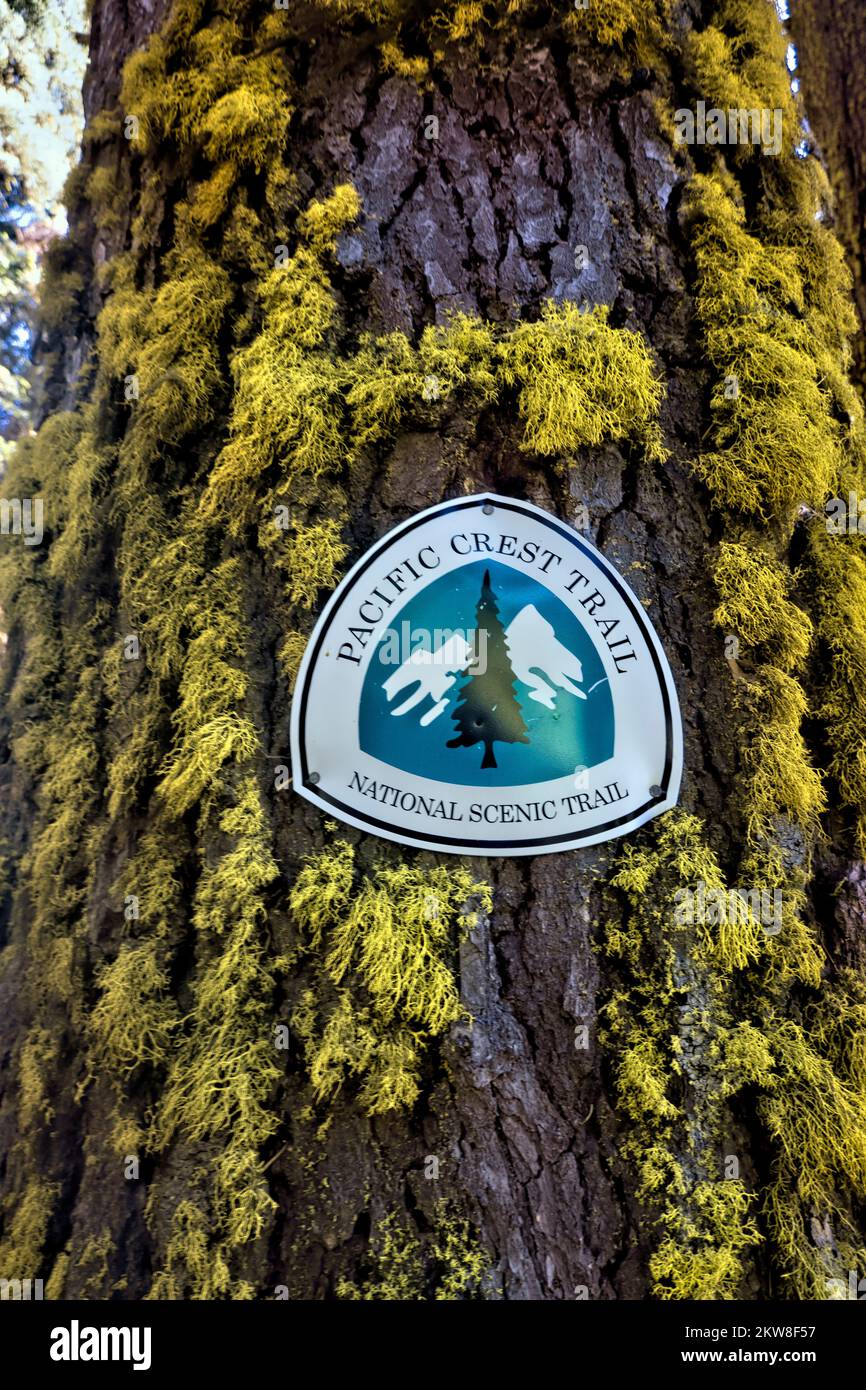 Segnale Pacific Crest Trail, Oregon, USA Foto Stock