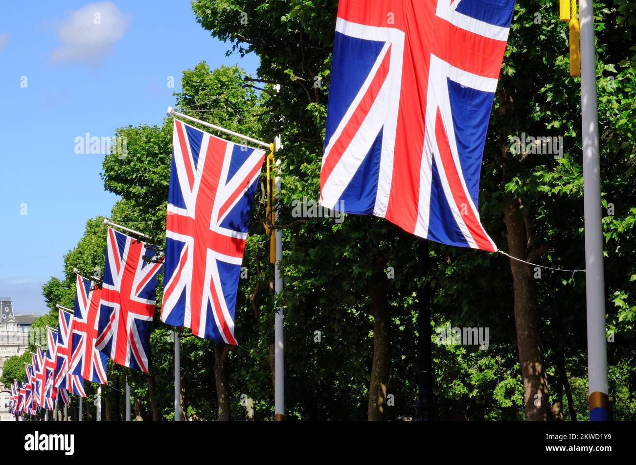 Queen Elizabeth II Platinum Jubilee: Primo piano delle bandiere di Union Jack e degli alberi che fiancheggiano il Mall, Londra, Inghilterra Foto Stock