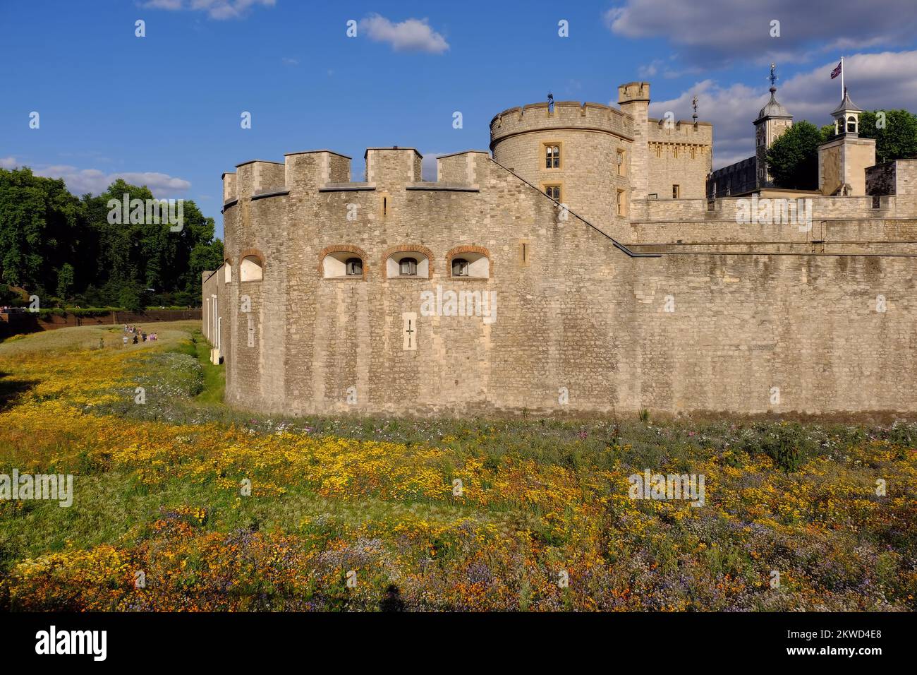 Regina Elisabetta II Platinum Jubilee: Torre di Londra Superbloom; un paesaggio di fiori selvatici piantati alla Torre, Londra, Inghilterra Foto Stock