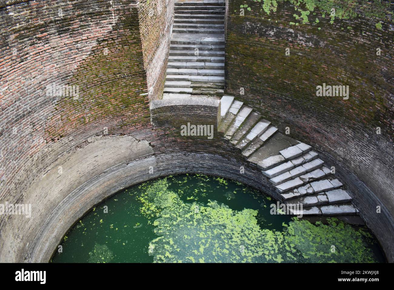 Helical Stepwell, pozzo del 16th ° secolo ha una scala larga 1,2m, Champaner-Pavagadh Parco Archeologico, un sito patrimonio dell'umanità dell'UNESCO, Gujarat, India Foto Stock