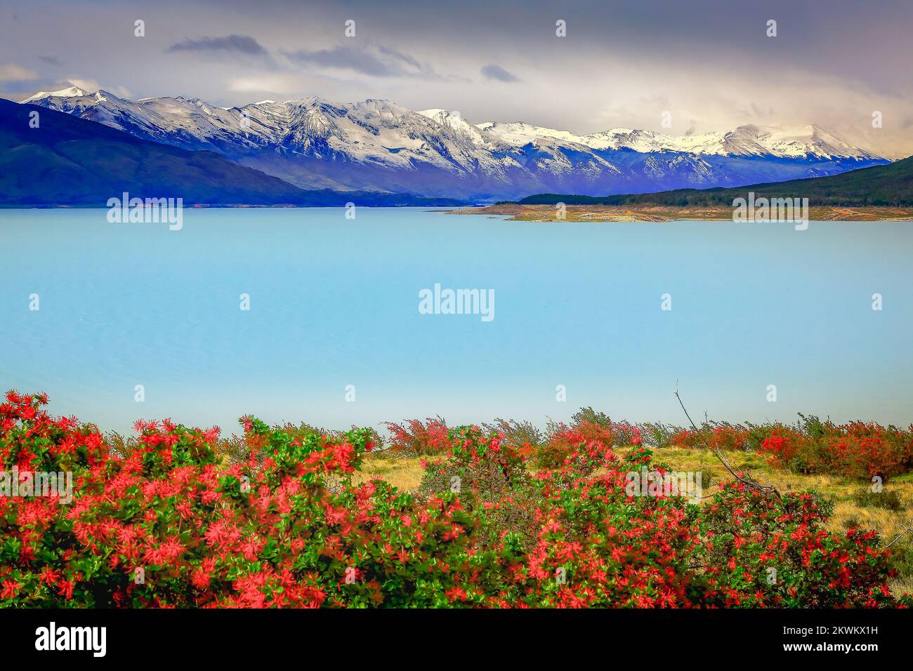 Ande innevate e Lago Argentina vicino a El calafate, paesaggio della Patagonia Foto Stock