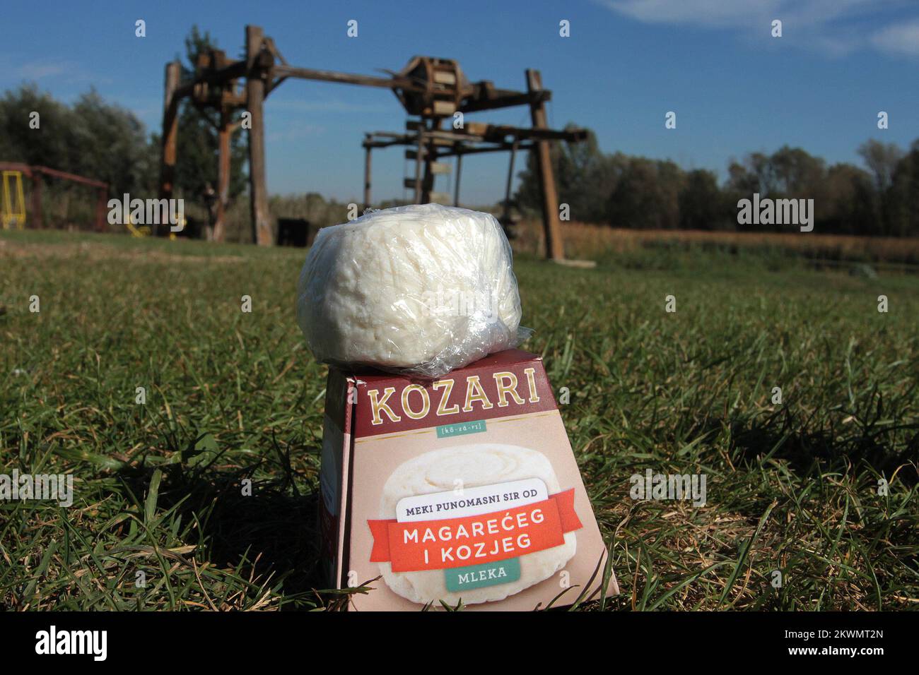 09.10.2012., Srijemska Mitrovica, Serbia - il formaggio più costoso è il formaggio serbo preparato su ordinazione derivato dal latte d'asino nella riserva Zasavica a nord di Belgrado, Serbia. Ciò che lo rende raro è il fatto che richiede oltre 25 litri di latte d'asino per un solo chilogrammo di formaggio, e 1 kg di questo formaggio costano 1000 euro. Poiché gli asini producono pochissimo latte, il latte viene raccolto da 100 asini balcanici che vivono nella Riserva Naturale Speciale Zasavica. Il formaggio Pule ha anche ottenuto il suo nome 'Pule dagli animali, come 'pule' è la parola serba per il nemico. Il formaggio Pule è anche Foto Stock