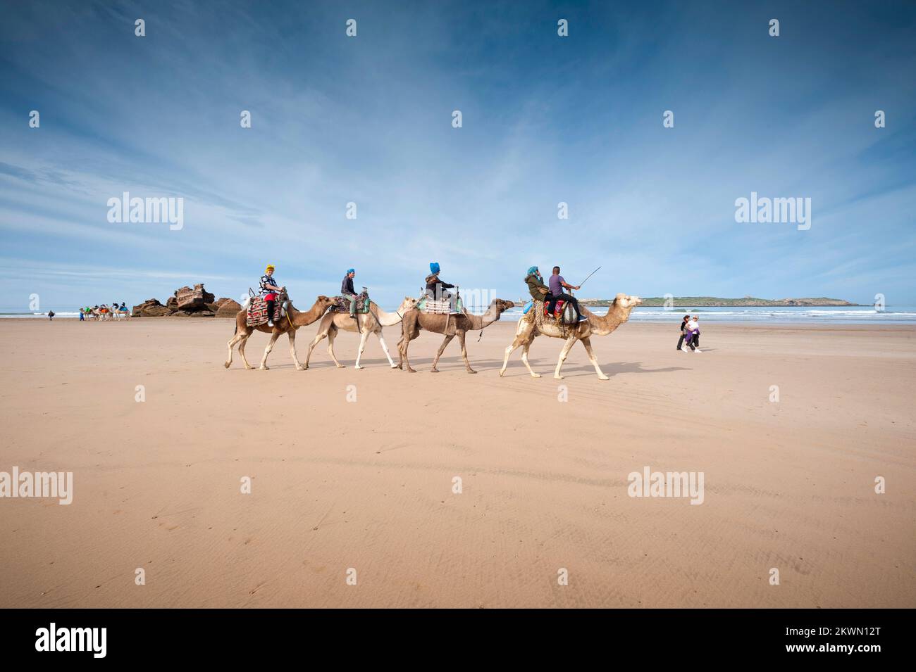 Gite in cammello - Essaouira Beach, Marocco Foto Stock