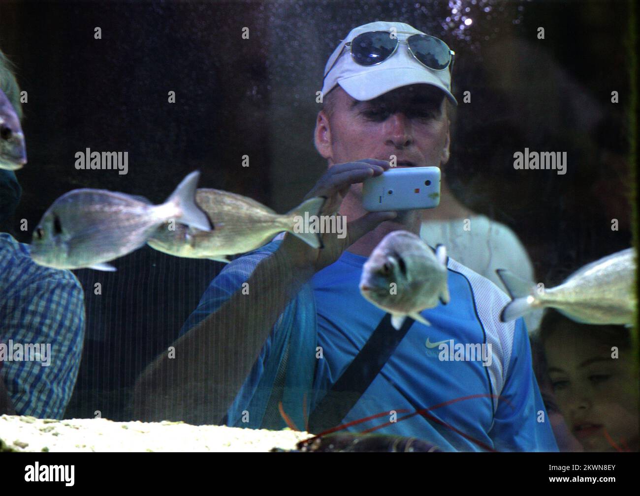 18.07.2013., Zaton,Croazia - Acquario con pesce vivo di fronte ad uno dei ristoranti nella località turistica Zaton attira l'attenzione dei turisti, soprattutto bambini Foto: Zeljko Mrsic/PIXSELL Foto Stock