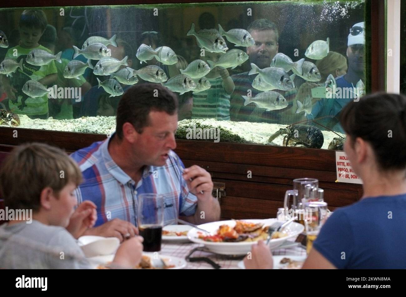 18.07.2013., Zaton,Croazia - Acquario con pesce vivo di fronte ad uno dei ristoranti nella località turistica Zaton attira l'attenzione dei turisti, soprattutto bambini Foto: Zeljko Mrsic/PIXSELL Foto Stock
