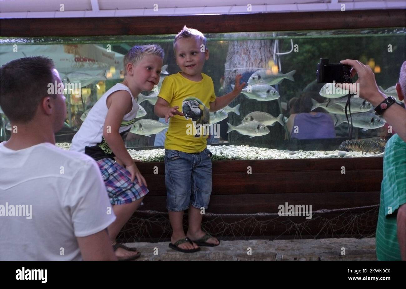 18.07.2013., Zaton,Croazia - Acquario con pesce vivo di fronte ad uno dei ristoranti nella località turistica Zaton attira l'attenzione dei turisti, soprattutto bambini Foto: Zeljko Mrsic/PIXSELL Foto Stock