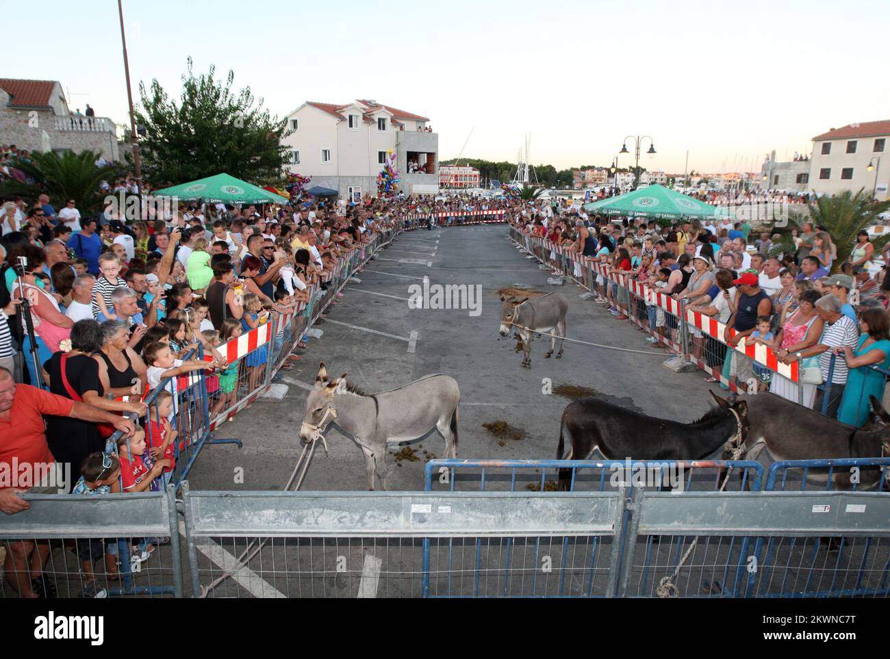 01.08.2013., Tribunj, Croazia - 46th gara tradizionale asino tenuto come ogni anno nel centro di Tribunj. Nello spettacolo festivo a cui hanno partecipato 15 asini cavalavano i ragazzi Tribunj di 17-30 anni in costumi tradizionali. Foto: Dusko Jaramaz/PIXSELL Foto Stock