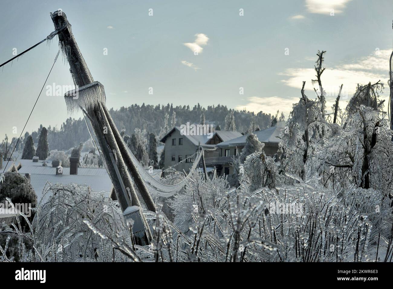 03.02.2014., Pivka, Slovenia - a causa della neve e del ghiaccio gran parte della Slovenia si trova di fronte alla perdita di elettricità, la domenica senza energia elettrica è stata di circa 250 mila cittadini. Condizioni estreme inflitto gravi danni alle foreste, secondo le stime del Central Bureau of Forest, è distrutto circa 3,5 milioni di metri cubi di legno. Le condizioni meteorologiche hanno avuto problemi di traffico. Molte strade sono state chiuse e molti treni e autobus sulle linee interurbane sono stati ritardati. Linee elettriche abbattute. Foto: Anze Petkovsek/Zurnal24/PIXSELL Foto Stock