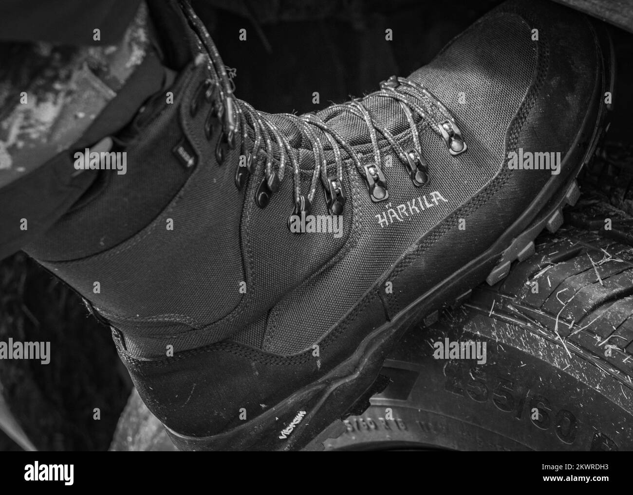 Sport di campagna Foto Stock