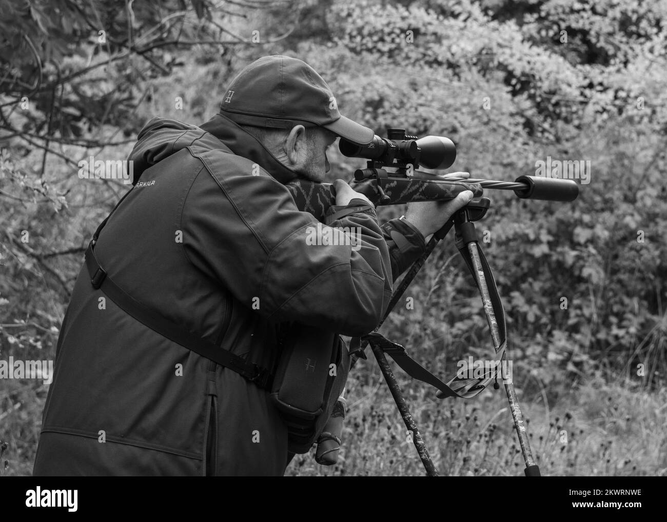 Sport di campagna Foto Stock