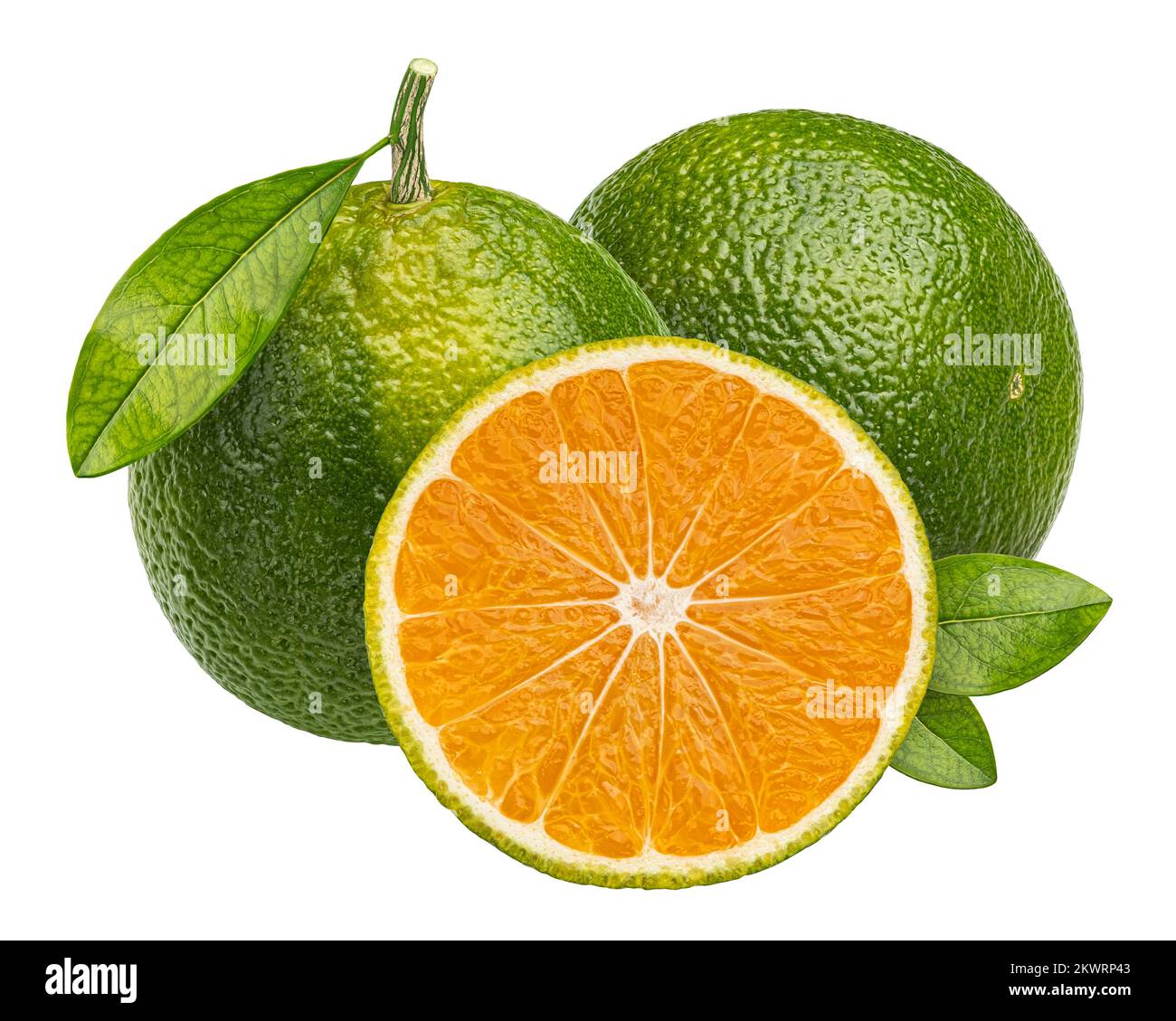 Tangerino verde isolato su sfondo bianco, profondità di campo completa Foto Stock