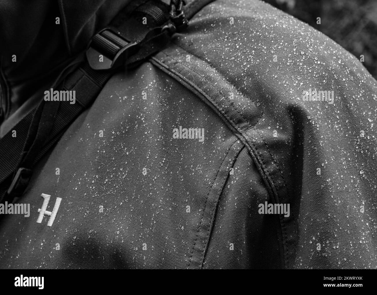 Sport di campagna Foto Stock