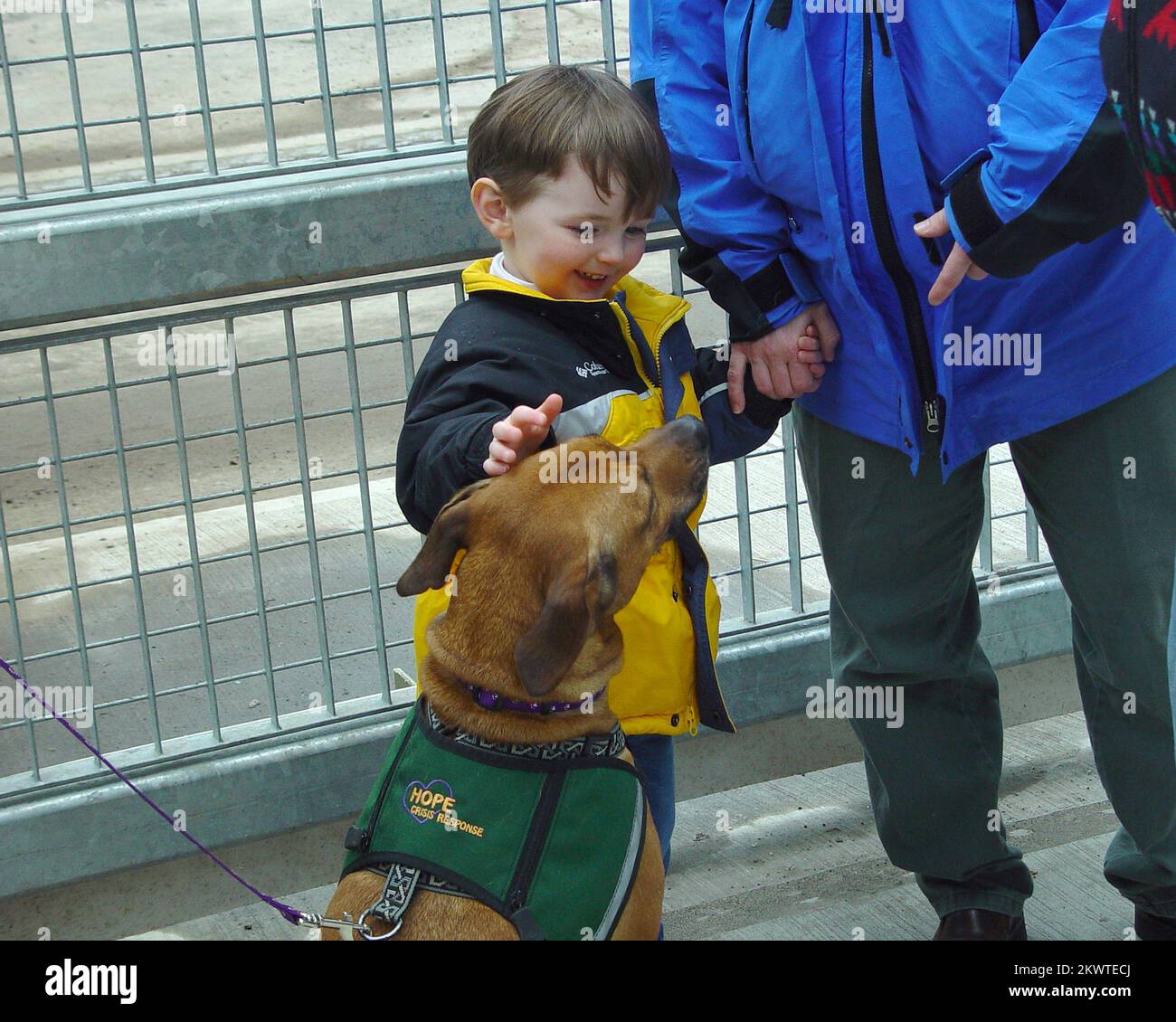Anniversari e servizi commemorativi possono essere particolarmente difficili per i soccorri in caso di disastri. Per questo motivo, quando le squadre di HOPE Animal-Assisted Crisis Response vengono inviate su ciò che chiamano 'callout' (o ciò che chiameremmo deloyments), le loro destinazioni possono includere servizi commemorativi e altri eventi commemorativi come quello qui raffigurato a Ground Zero a New York, New York. I bambini e gli adulti beneficiano del tempo con questi animali. Foto gentilmente concessa da HOPE Animal-Assisted Crisis Response.. Fotografie relative a disastri e programmi, attività e funzionari di gestione delle emergenze Foto Stock