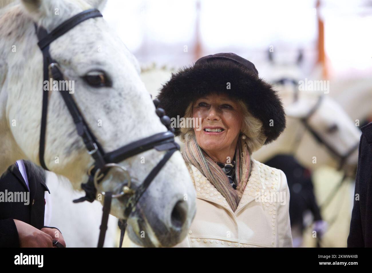 Loro altezza reale il Principe di Galles e la Duchessa di Cornovaglia in due giorni di visita in Croazia. Dopo aver visitato insieme Osijek, la Duchessa di Cornovaglia Camilla visitò le National Stud Farms a Djakovo. Ha guardato l'esecuzione dei Lipizzaners e del carro tradizionalmente decorato. L'ospite della Duchessa era Nidal navi direttore del Paddock e Zoran Vinkovic sindaco di Djakovo. Foto: Vlado Kos/Cropix/POOL/PIXSELL Foto Stock