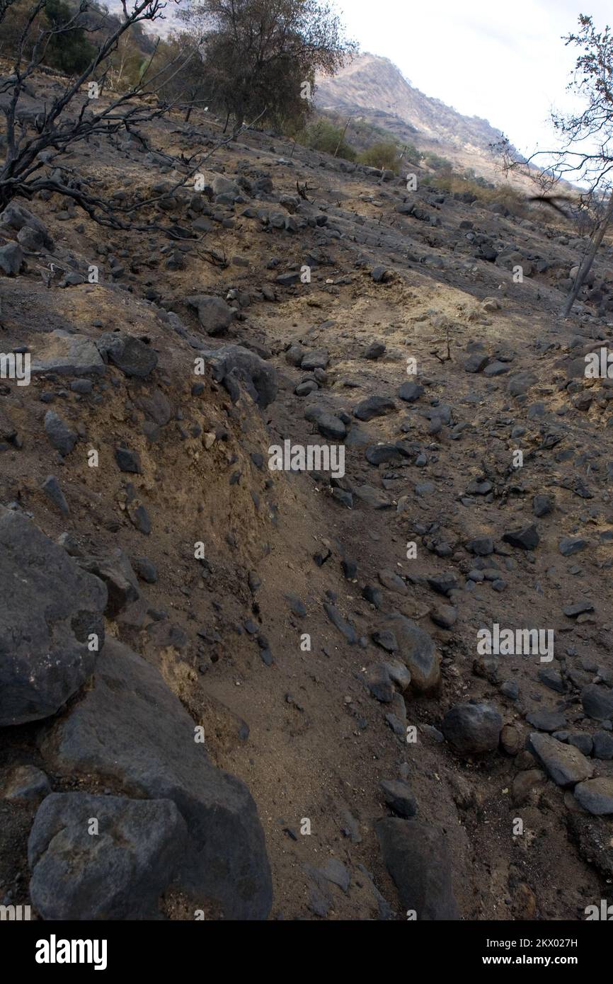 Incendi boschivi, Pauma, CA, 10 novembre 2007 la Jolla Indian Reservation, Landscape mostra un esempio di un'area della riserva devastata dagli incendi boschivi della California meridionale e viene esaminata da FEMA, BAER (Soccorso di emergenza dell'area bruciata) e dal Multi Agency Support Group (MASG) per valutare, prevenire e mitigare ulteriori danni ed erosione a causa delle piogge invernali nella zona. Si tratta di una trincea di drenaggio utilizzata per deviare l'acqua in caso di forti piogge. Fotografie relative a disastri e programmi, attività e funzionari di gestione delle emergenze Foto Stock