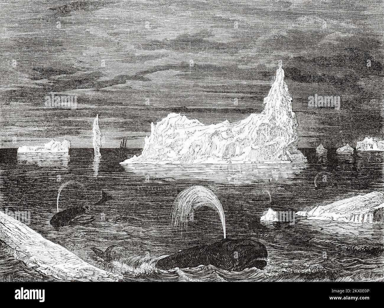 Isola di ghiaccio sulle rive del Terranova, Canada. Viaggi in Nord America da Louis Deville, Stati Uniti e Canada 1854-1855. Le Tour du Monde 1861 Foto Stock