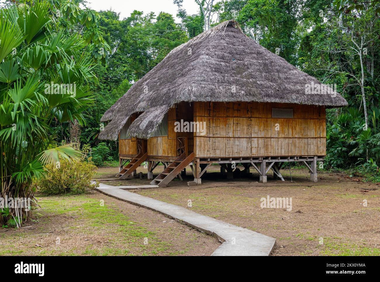 Tradizionale foresta amazzonica che ospita in una comunità indigena di kichwa vicino al parco nazionale di Yasuni, Ecuador. Foto Stock