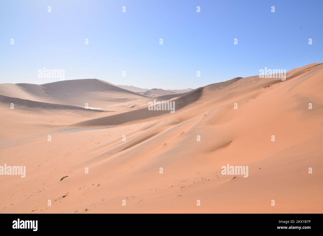 Top of Dune 45 Grande Daddy Sand Dune namibia Afrika Blue Sky Foto Stock