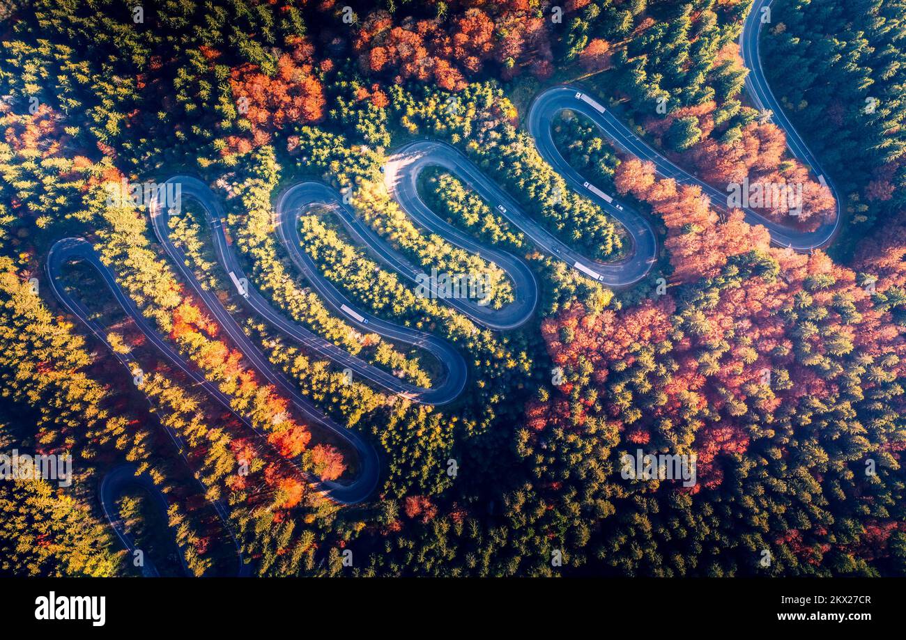 Passo di Bratocea, Romania. Strada tortuosa in scenario di foresta autunnale, paesaggio di montagna, Carpazi Montagne. Foto Stock